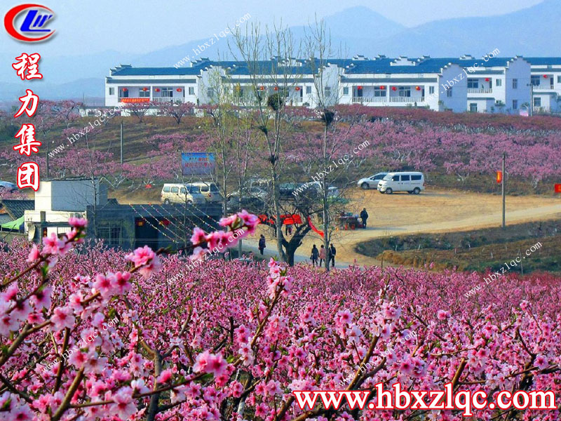 沒(méi)有三生三世，但有十里桃花——湖北程力集團(tuán)小編帶你去看十里桃花